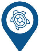 Turtle Oasis icon