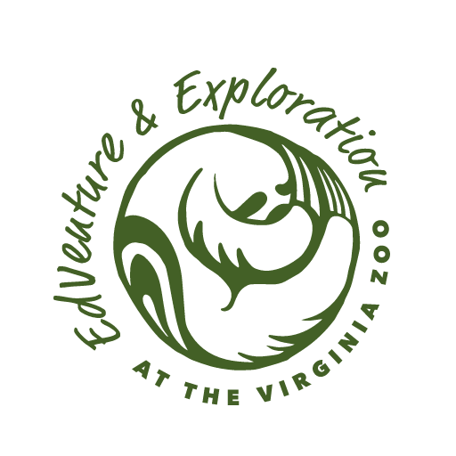 edventure logo