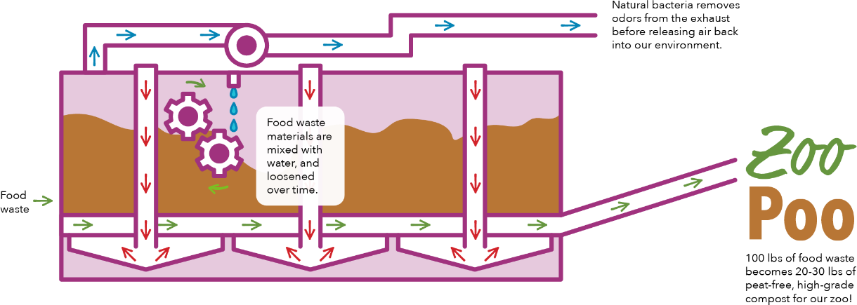 in vessel composting infographic