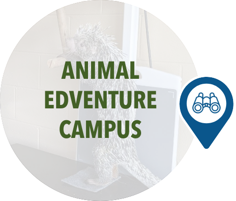 Home Initiatives Animal EdVenture Campus hover