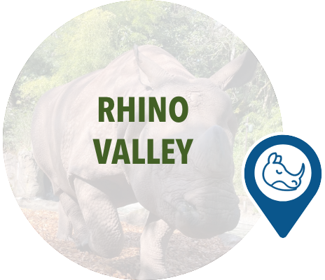 Home Initiatives Rhino Valley hover